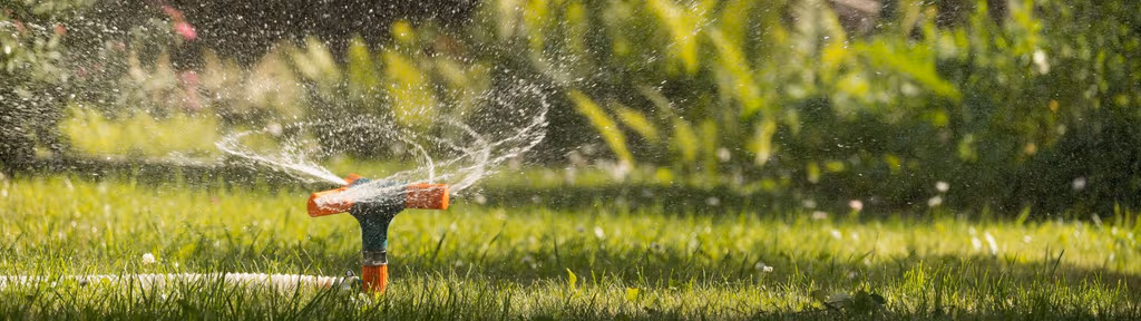 Watering Secrets for Cool-Season Grasses
