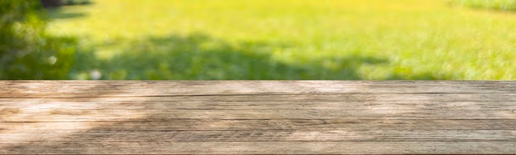 It’s Not Too Late to Book Your Lawn Care Program