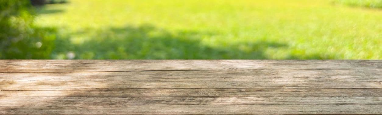It’s Not Too Late to Book Your Lawn Care Program