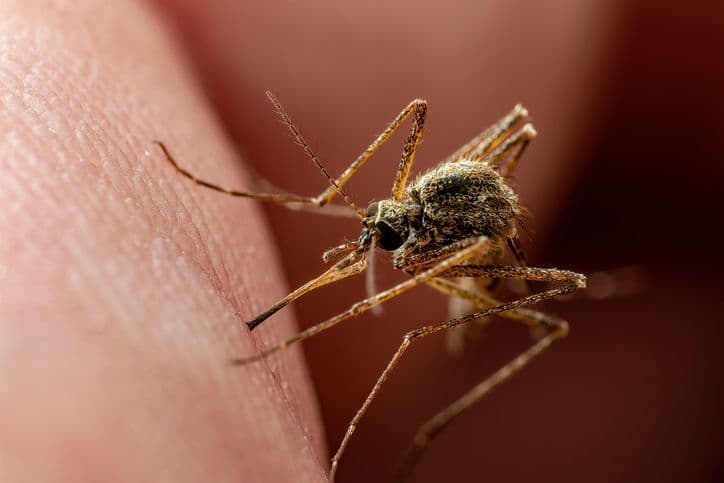 West Nile Virus Prevention | Protect Against a 40% Spike in Cases