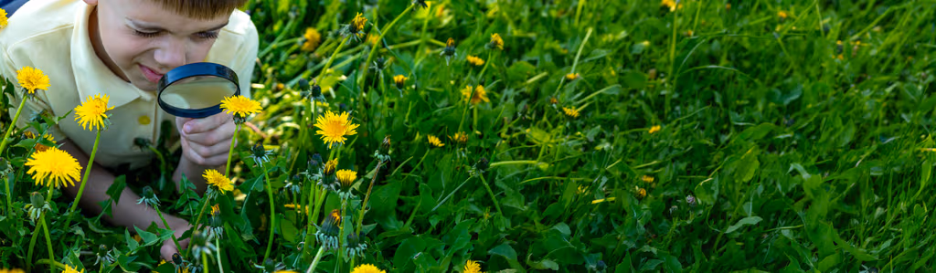 First Summer With Weeds? Bad News. They Will (Probably) Be Back