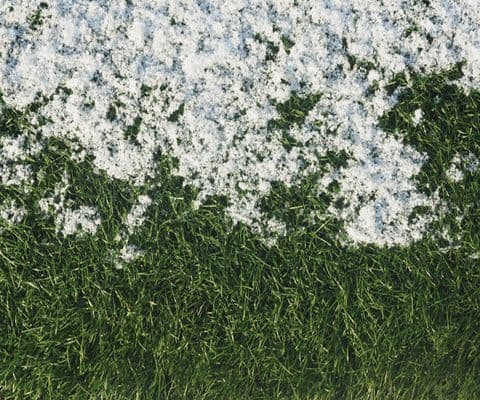 WINTER DAMAGE - Resource Image