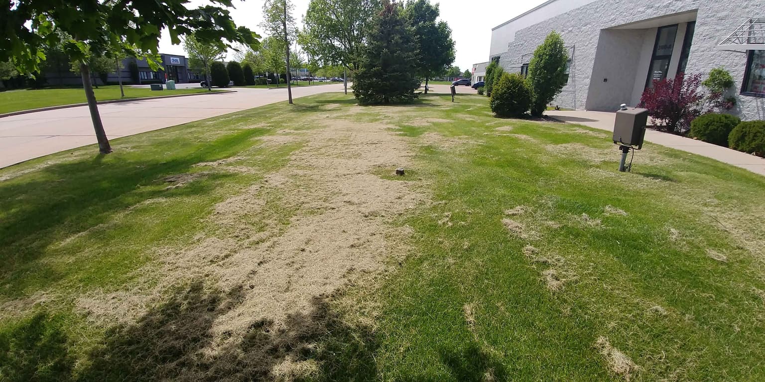Mowing Frequency | Turf Talk With Dr. Brad