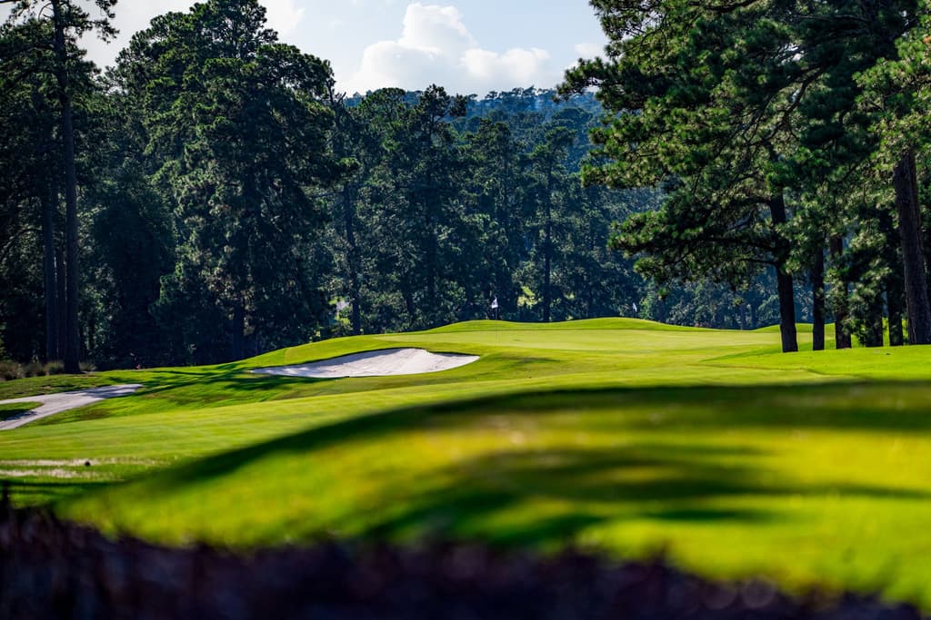 Overseeding: A Slice of Augusta at Home