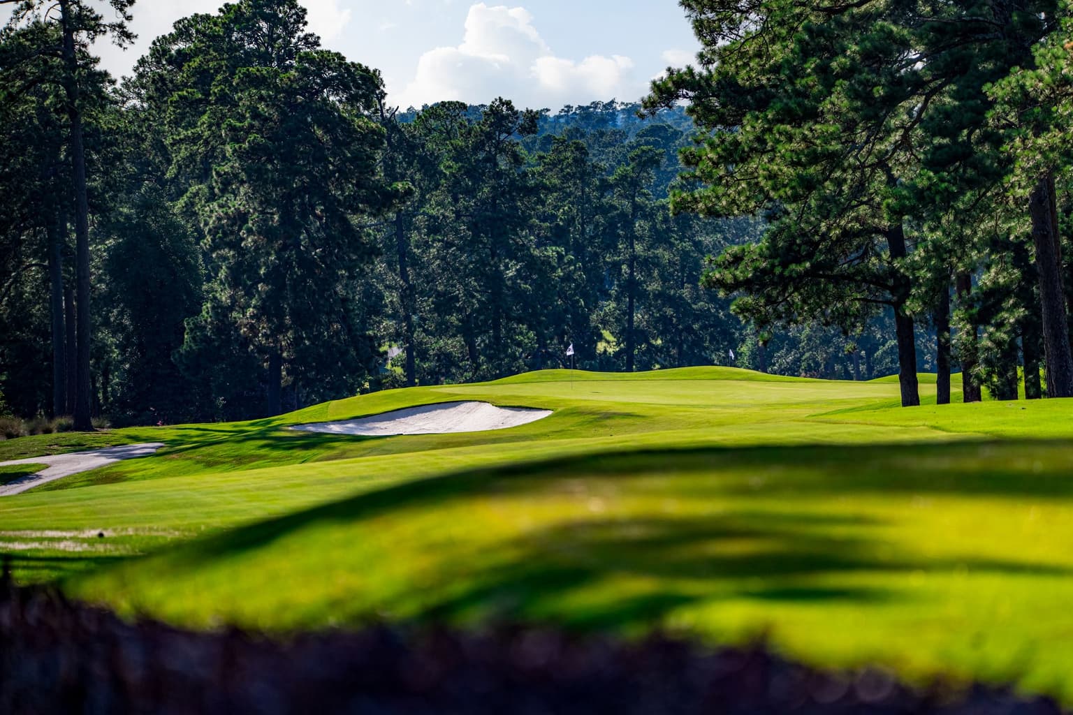 Overseeding: A Slice of Augusta at Home