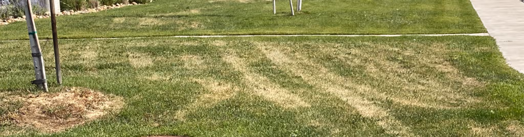 Why Does My Lawn Have Yellow Tire Marks?