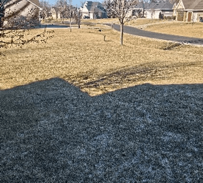 Winter Conditions Affecting Your Spring Lawn: Turf Talk With Dr. Brad