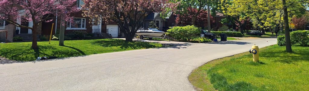 Troublesome Weeds in The Maritimes