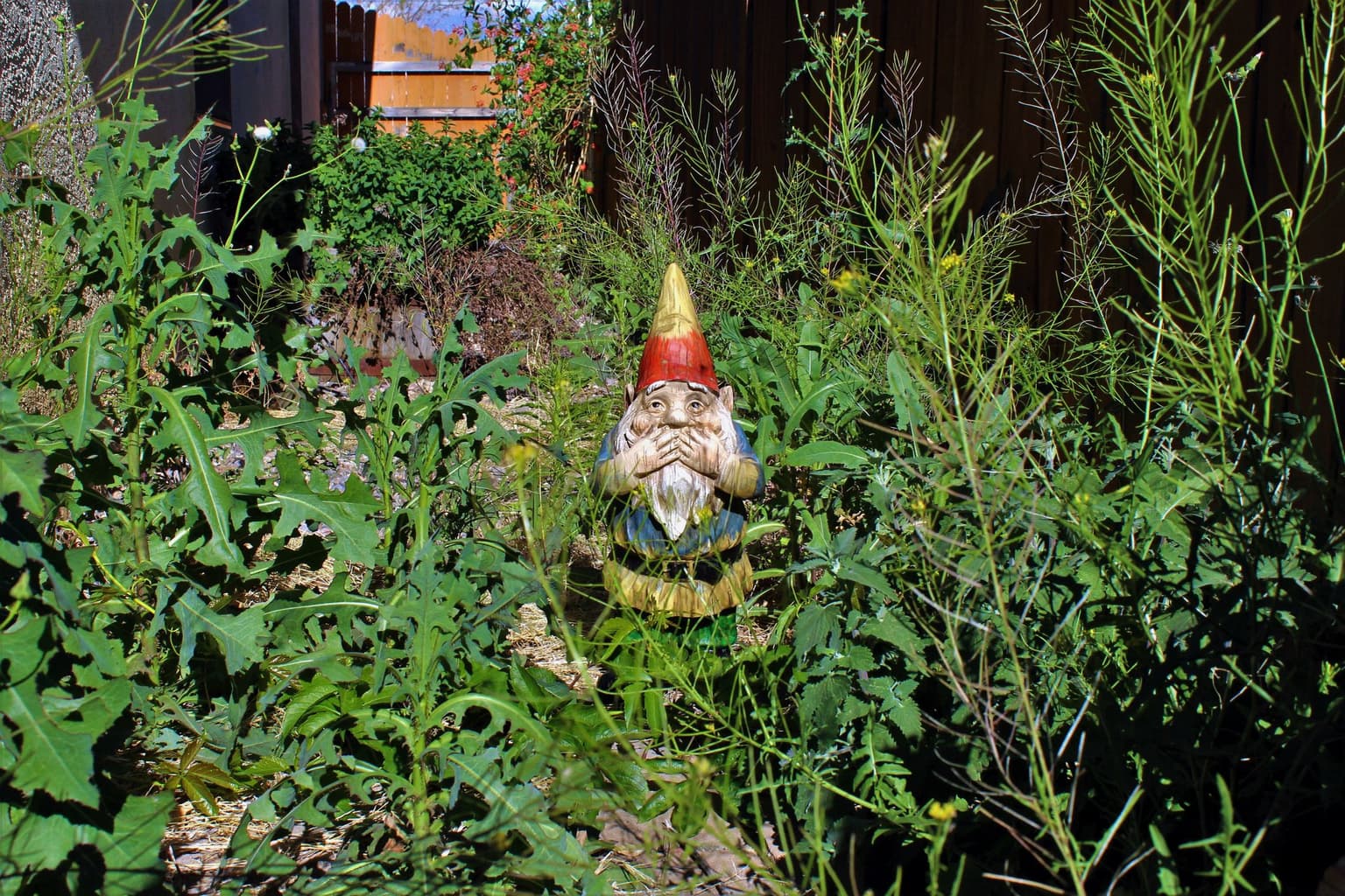 5 Lawn-Killing Mistakes That Upper Cumberland Homeowners Make