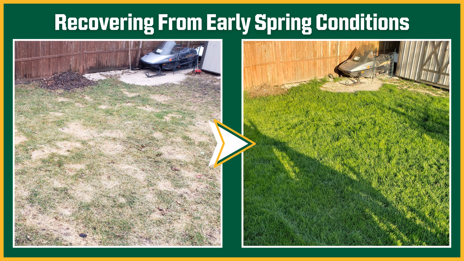 Turf Talk: Recovering From Snow Mold & Winter Damage