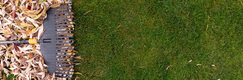 October Is the New August: How Longer Growing Seasons Change Lawn Care