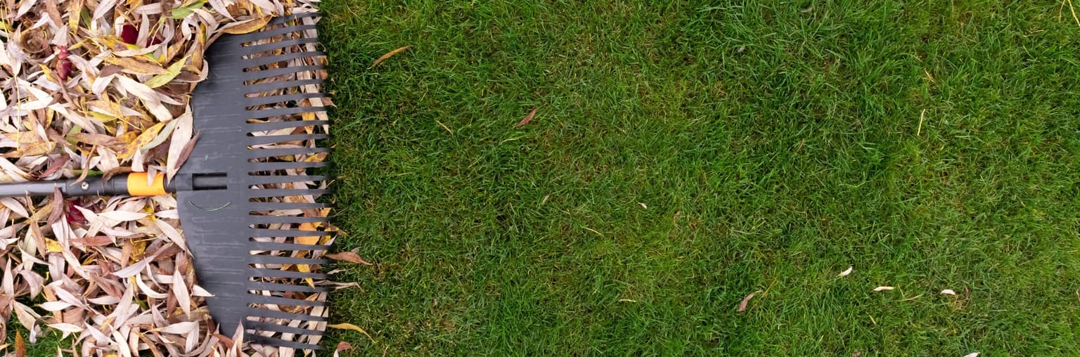 October Is the New August: How Longer Growing Seasons Change Lawn Care