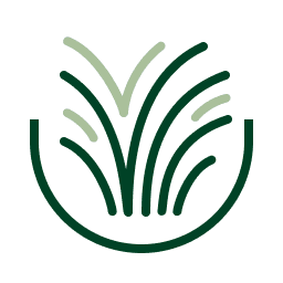 lawn