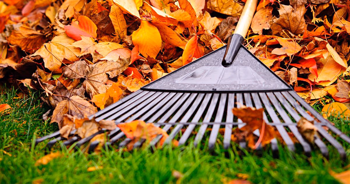 L’automne est à nos portes : préparez votre pelouse pour l’an prochain
