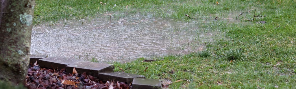 April Showers! What Flooded Lawns Mean for Your Grass This Spring