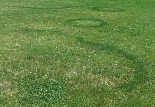 FAIRY RING - Resource Image