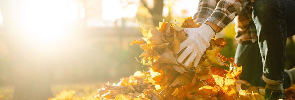 The Importance of Late Fall Fertilization for a Healthy Lawn Next Spring