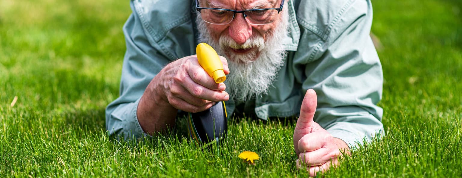 6 Lawn Care Myths That Could Hurt Your Grass