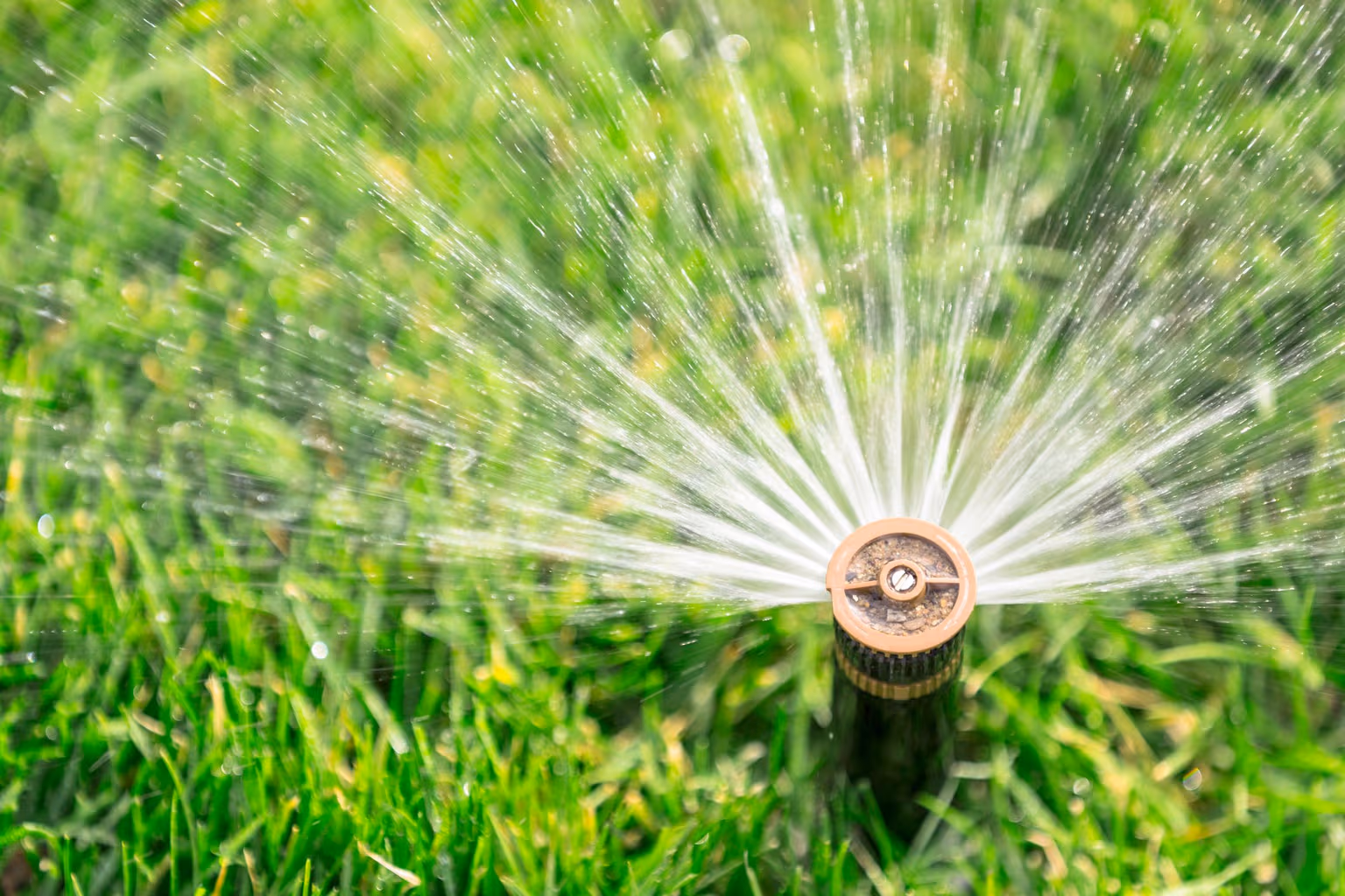THE ULTIMATE GUIDE TO WATERING YOUR LAWN - Resource Image