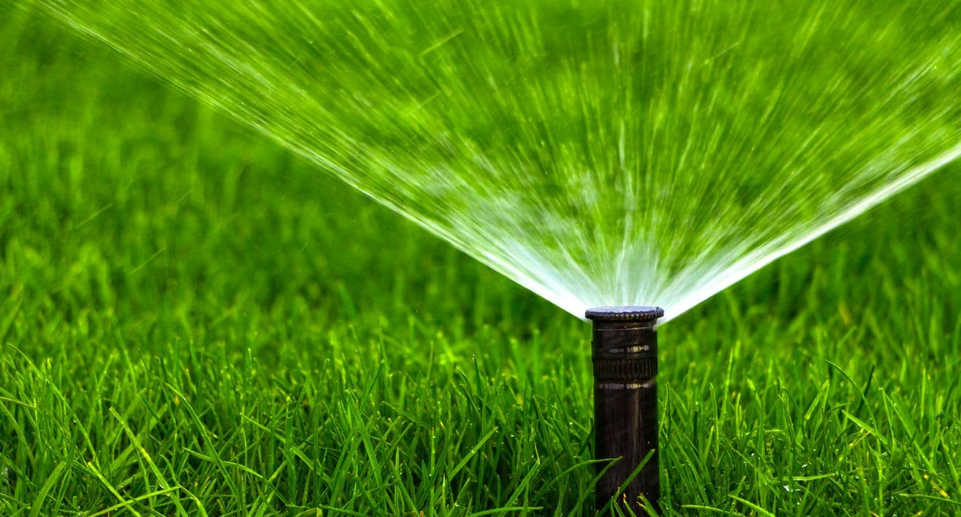 Making the Most of Your Lawn Care Program