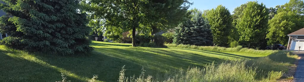 The Two Biggest Myths About Dandelion and Bluegrass Seedheads