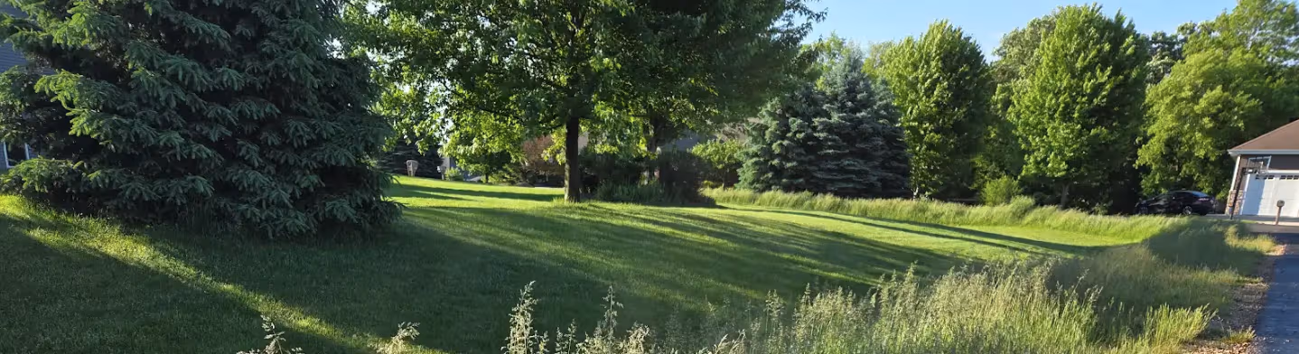 The Two Biggest Myths About Dandelion and Bluegrass Seedheads