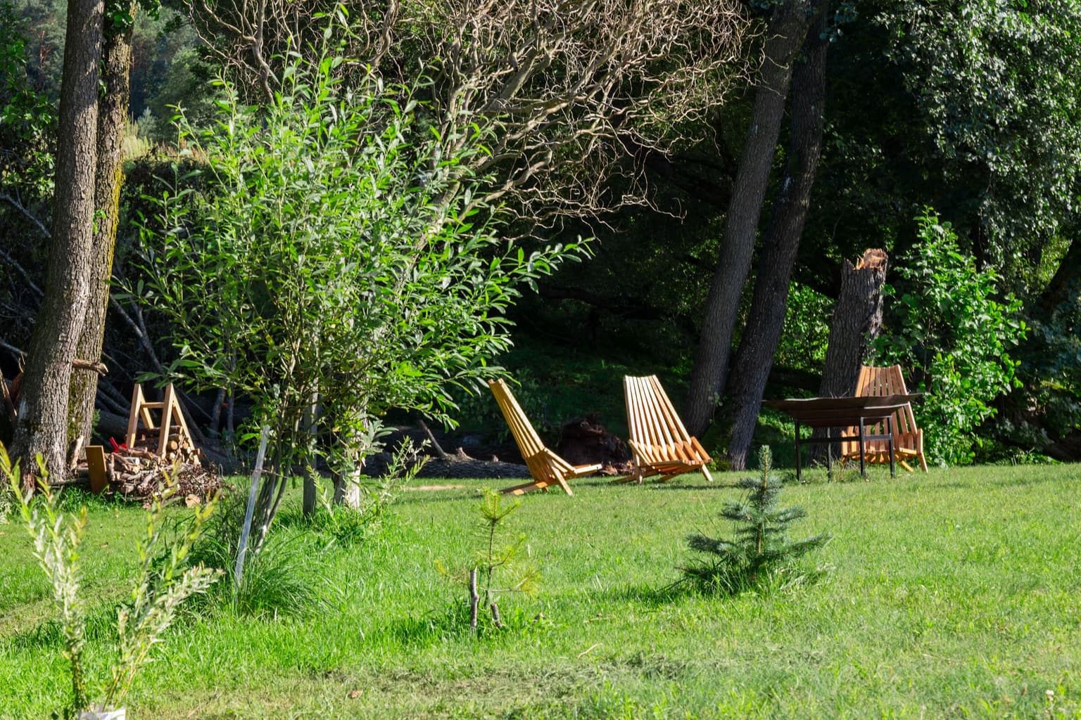 Why Lawn Care is Harder in Lexington (and Getting Even Harder)