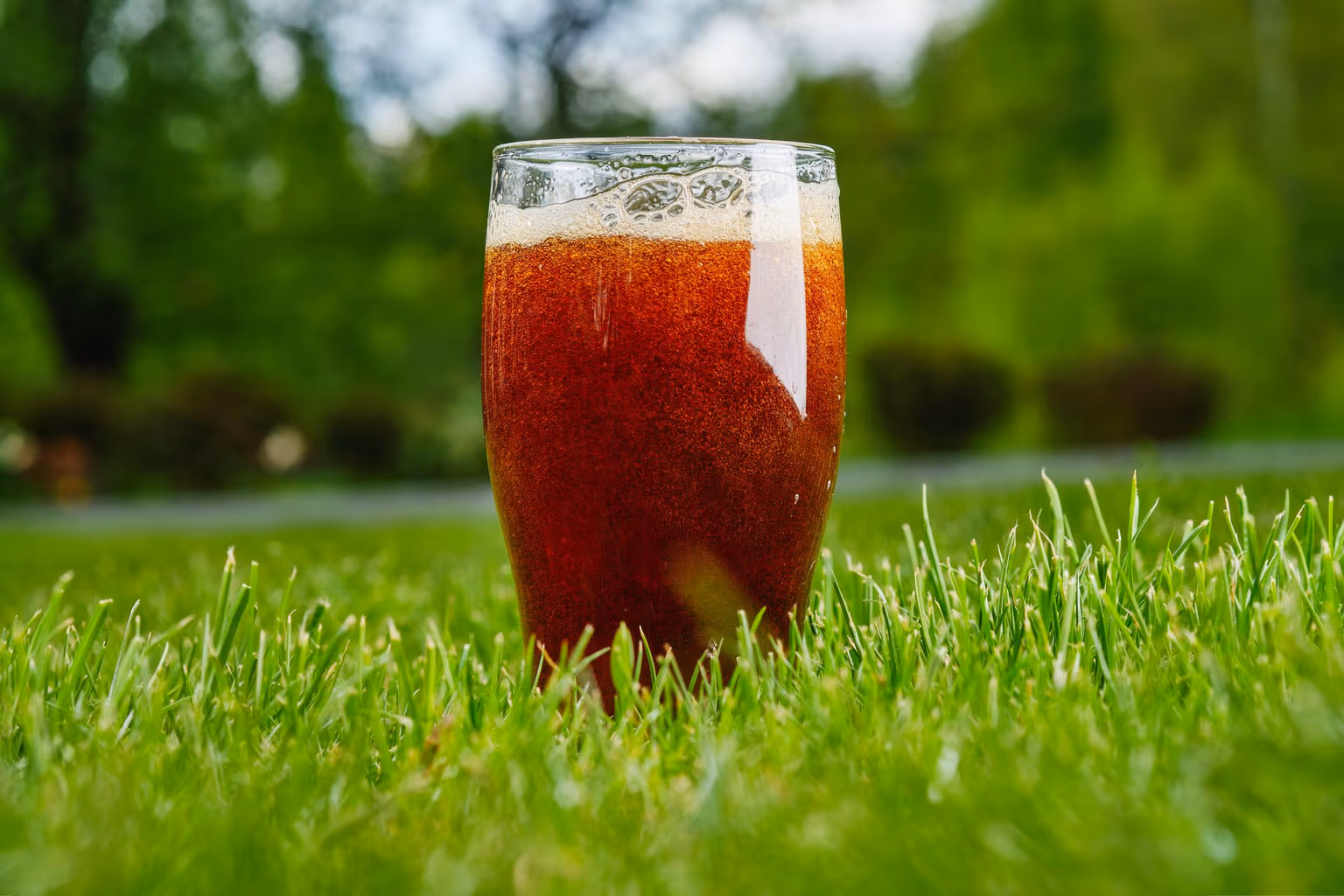 Can Beer or Pop Fertilize Your Lawn?