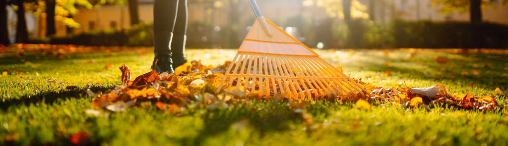 What Should You Do to Your Lawn in Fall? A Complete Checklist