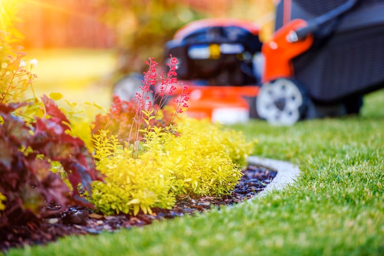 The Last Cut of The Season: When to Stop Mowing Your Lawn