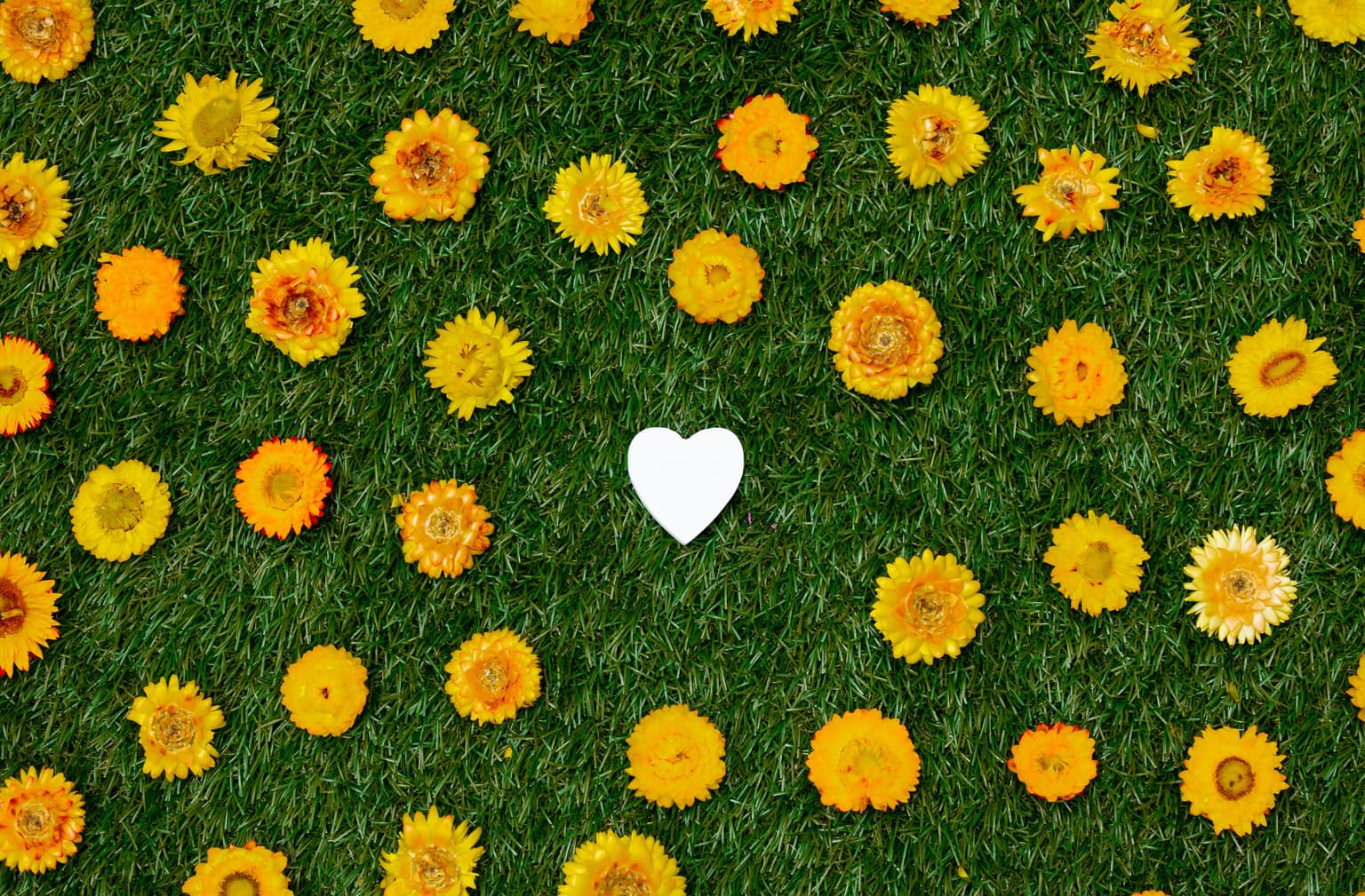 Love Your Lawn? Stop Doing These 3 Things (and Start Doing These 3)