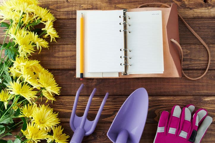 The Late Bloomer’s Summer Gardening Checklist